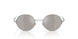 1001Z6 - Silver - Mirror Silver