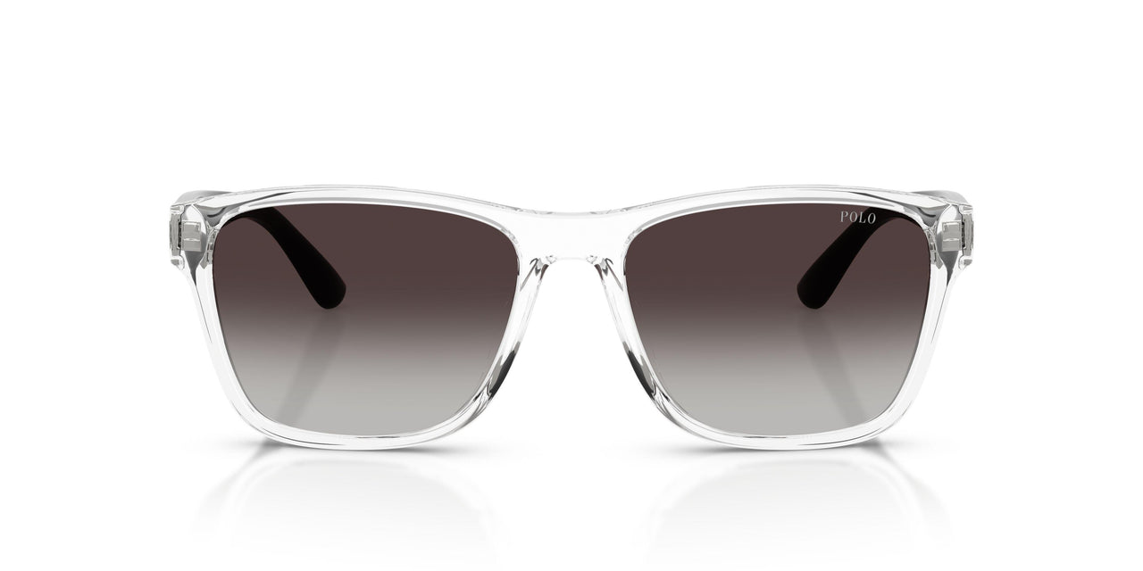 58698G - Transparent - Grey Gradient