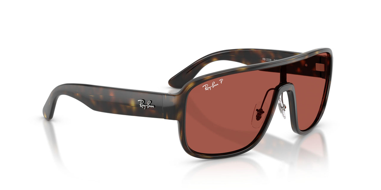 710/1B - Tortoise - Red Urban Redwood Polarized S