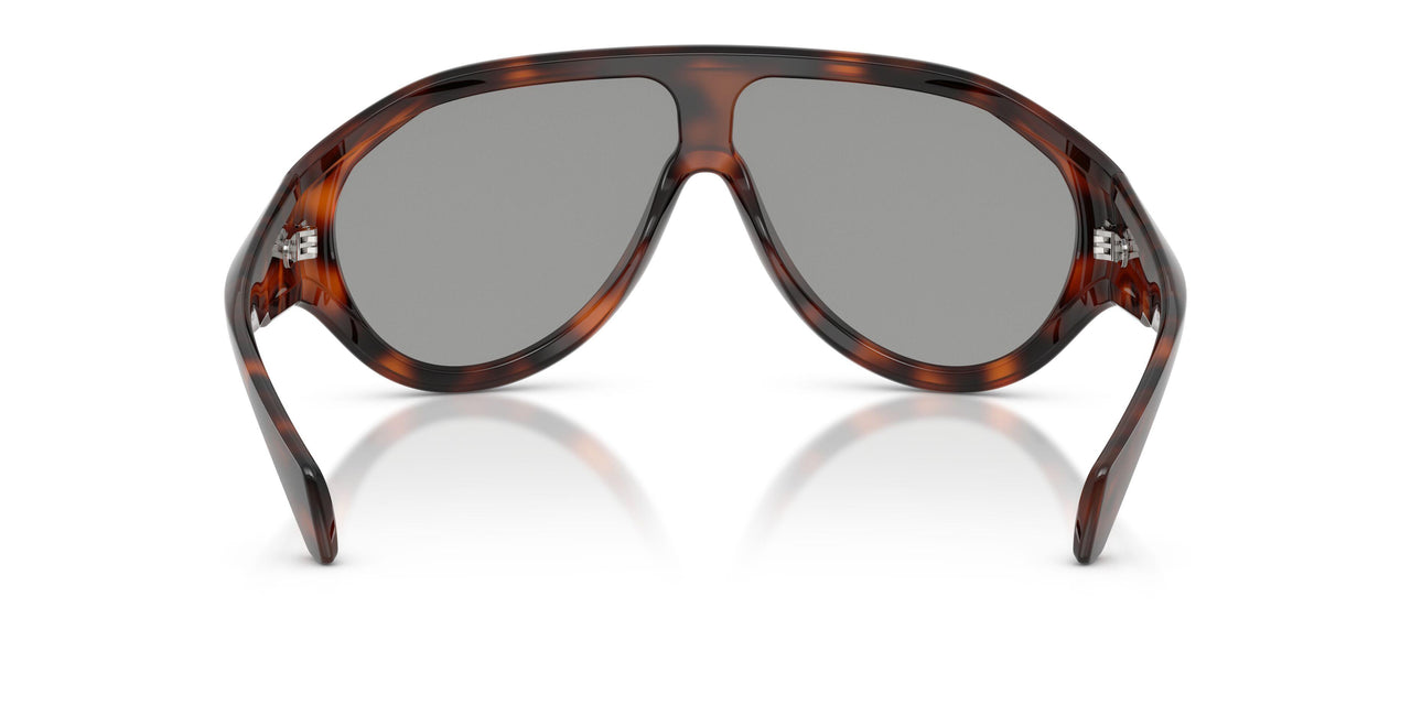 5026/1 - Tortoise - Light Grey Solid