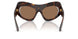 502/73 - Tortoise - Dark Brown