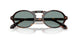 587956 - Tortoise - Grey