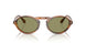 616314 - Tortoise - Green