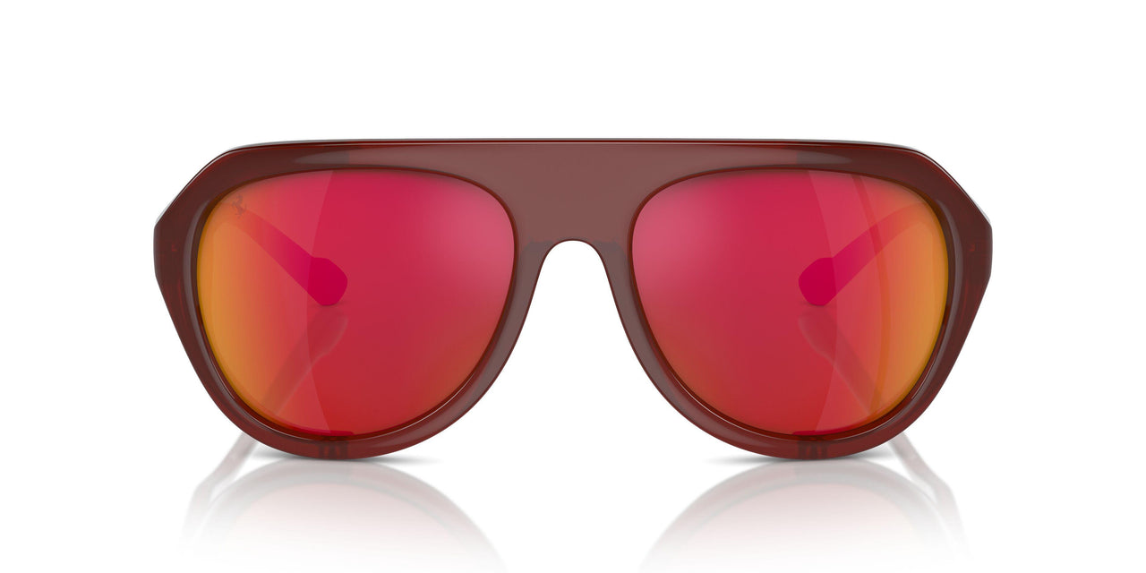 502/4D - Brown - Mirror Red Polar