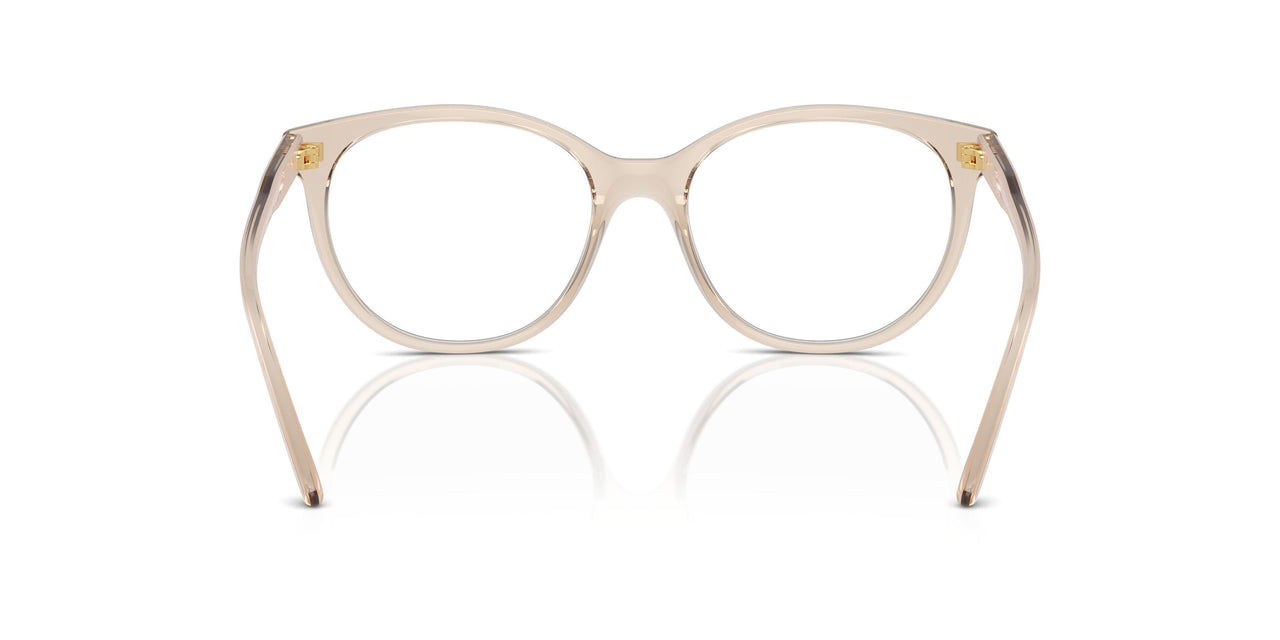 2884 - Brown