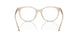 2884 - Brown