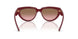 304814 - Red - Pink Gradient Brown