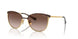 507813 - Brown - Gradient Brown