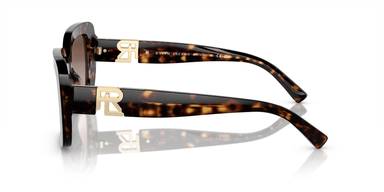 500313 - Tortoise - Gradient Brown
