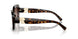 500313 - Tortoise - Gradient Brown