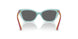 303287 - Transparent Sage - Dark Grey