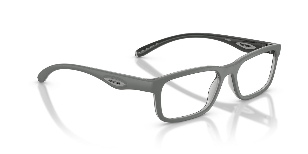 3009 - Grey