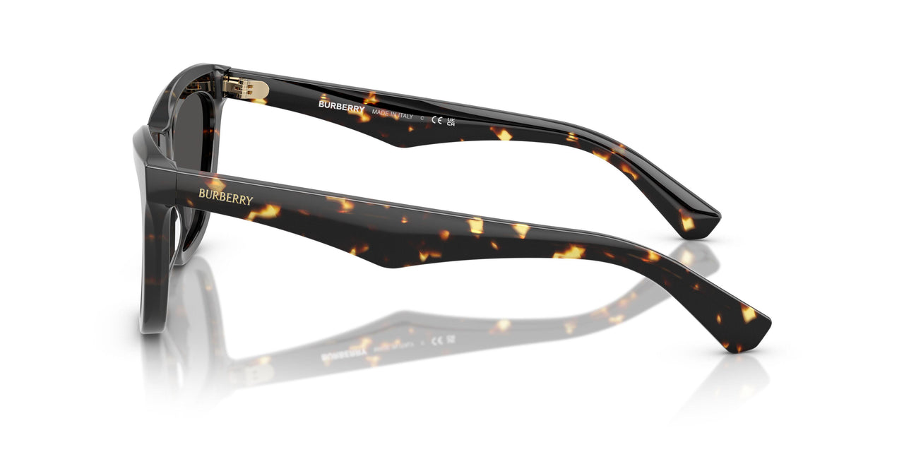 410687 - Tortoise - Dark Grey