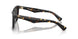 410687 - Tortoise - Dark Grey