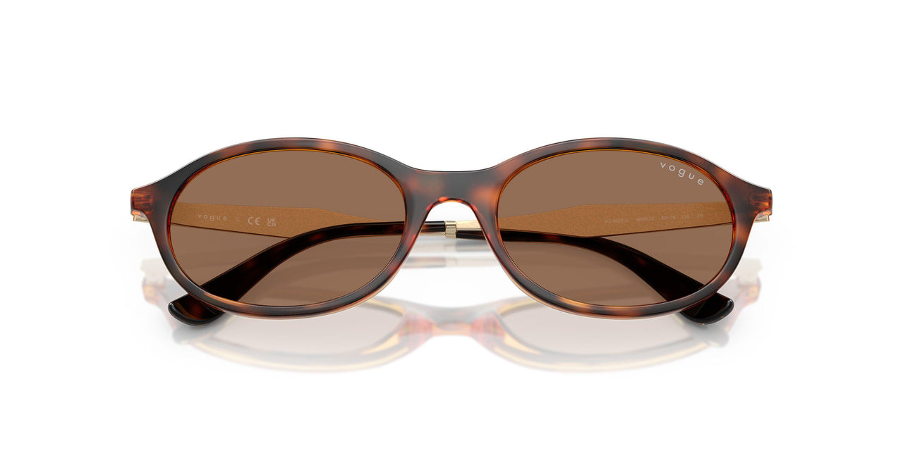 W65673 - Brown - Dark Brown