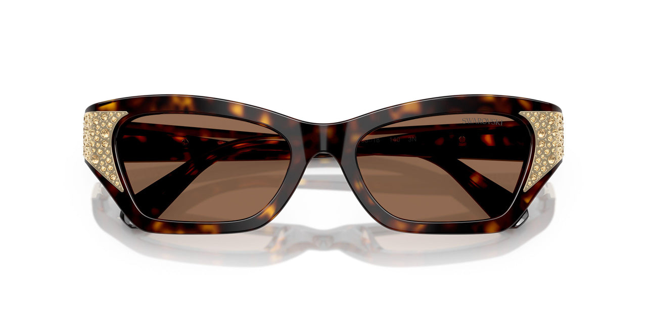 100273 - Brown - Dark Brown