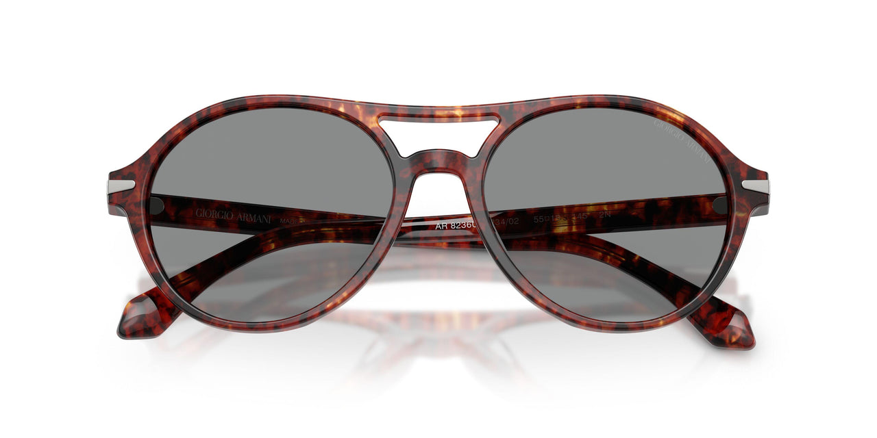 623402 - Tortoise - Blue
