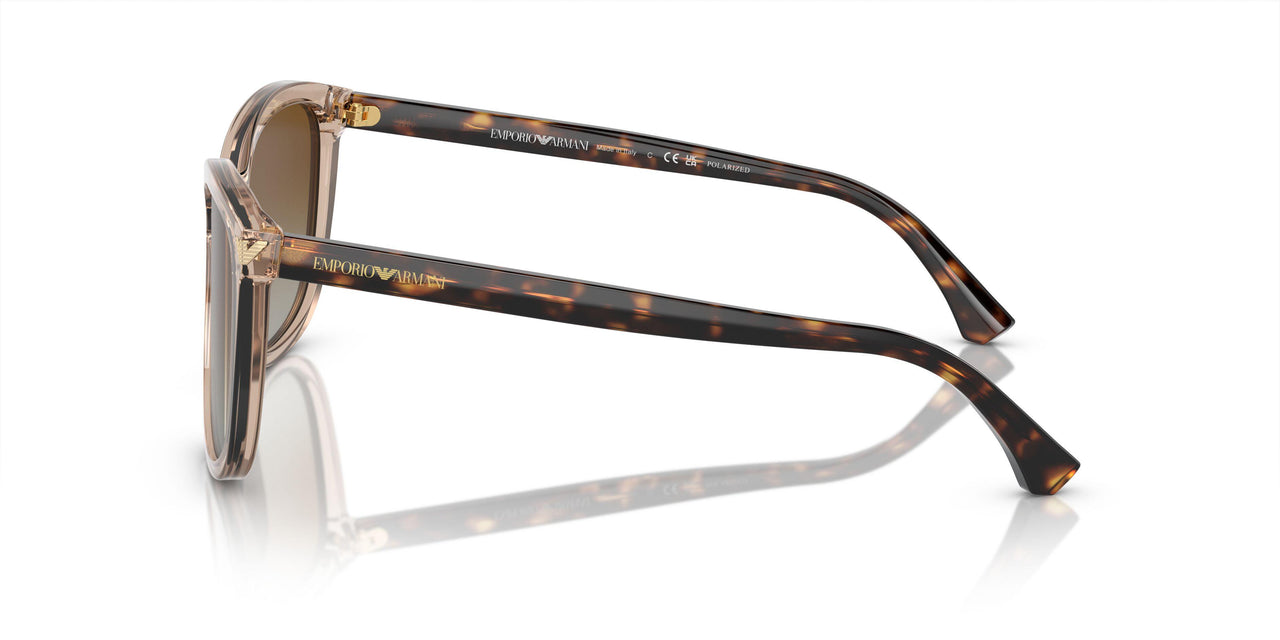 5850T5 - Brown - Gradient Brown Polar