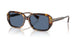 513480 - Tortoise - Dark Blue