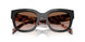 28F90P - Black - Brown Gradient