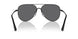 300181 - Black - Polarized Grey