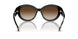 300513 - Black - Brown Gradient