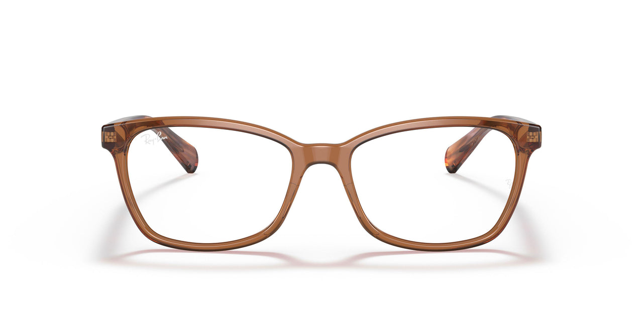 8179 - Brown