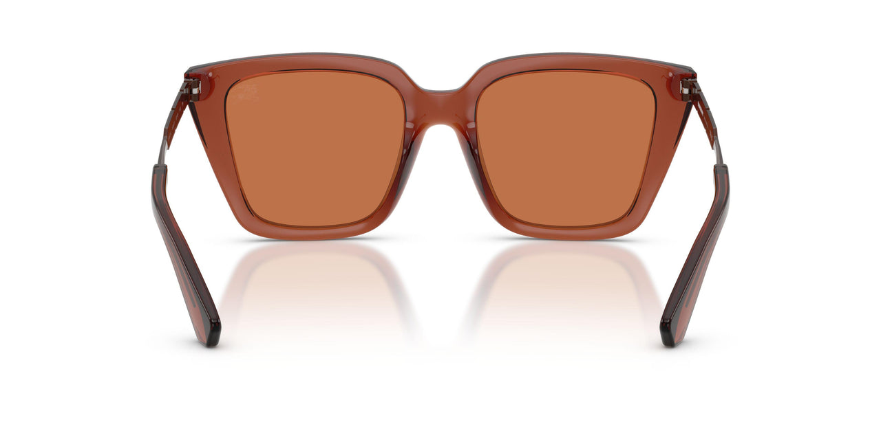 419573 - Brown - Brown