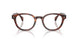 3034 - Tortoise