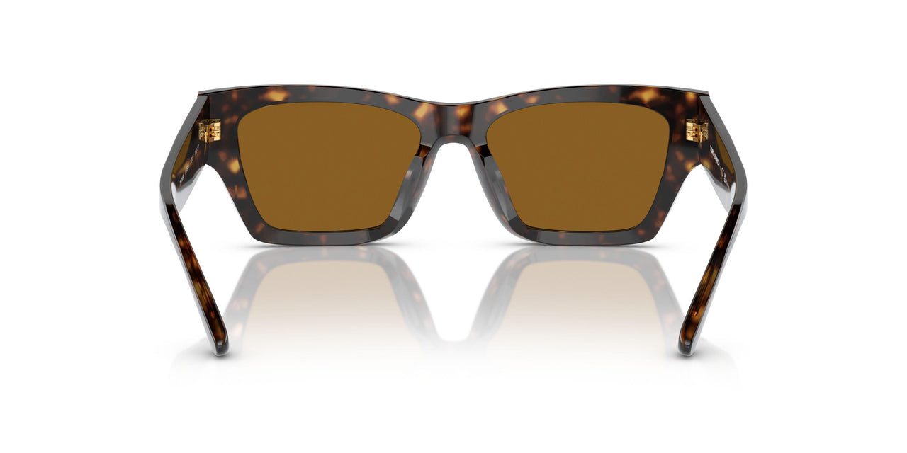 172883 - Tortoise - Dark Brown - Polar