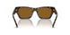 172883 - Tortoise - Dark Brown - Polar
