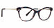 Life Is Good LGSHARI Eyeglasses