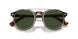 613771 - Tortoise - Bottle Green