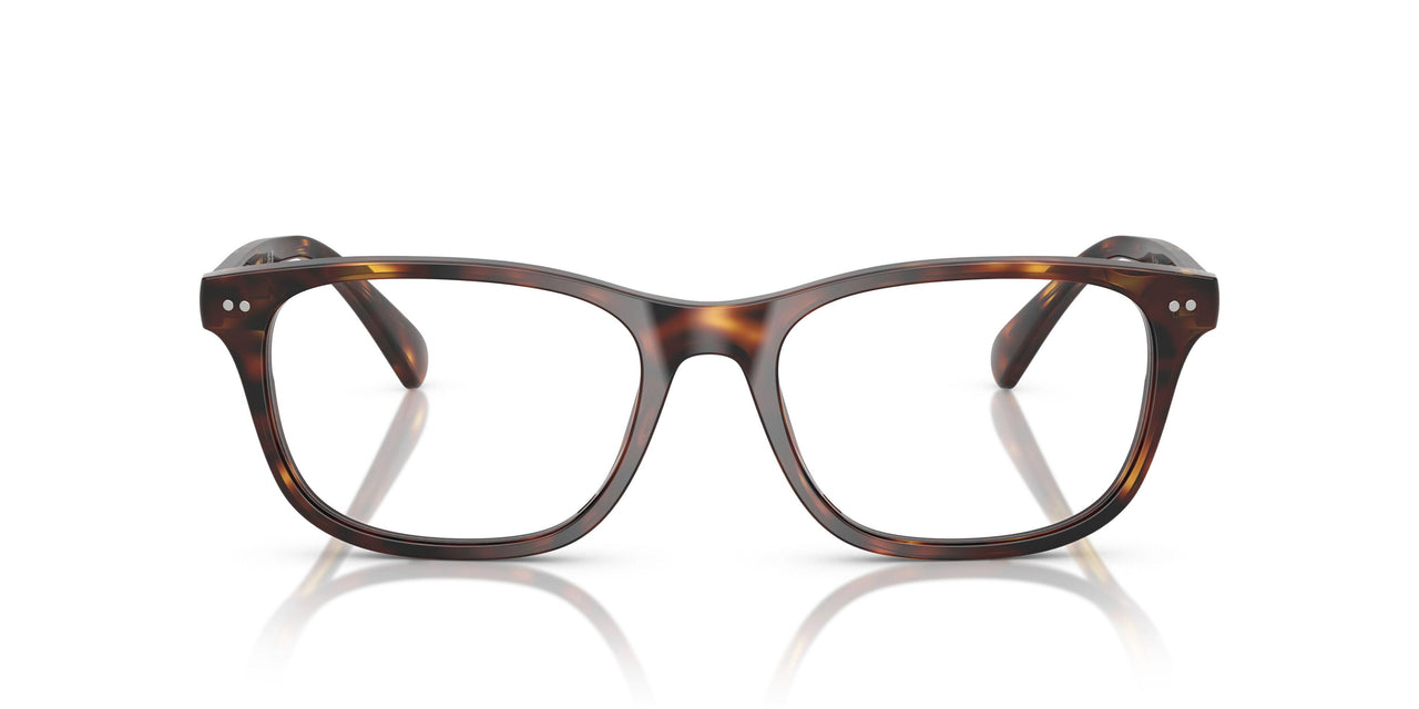 6137 - Tortoise