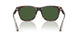 500371 - Tortoise - Bottle Green