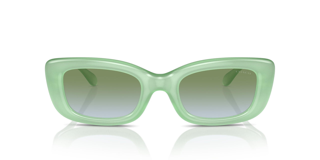 5807I7 - Green - Green Blue Gradient