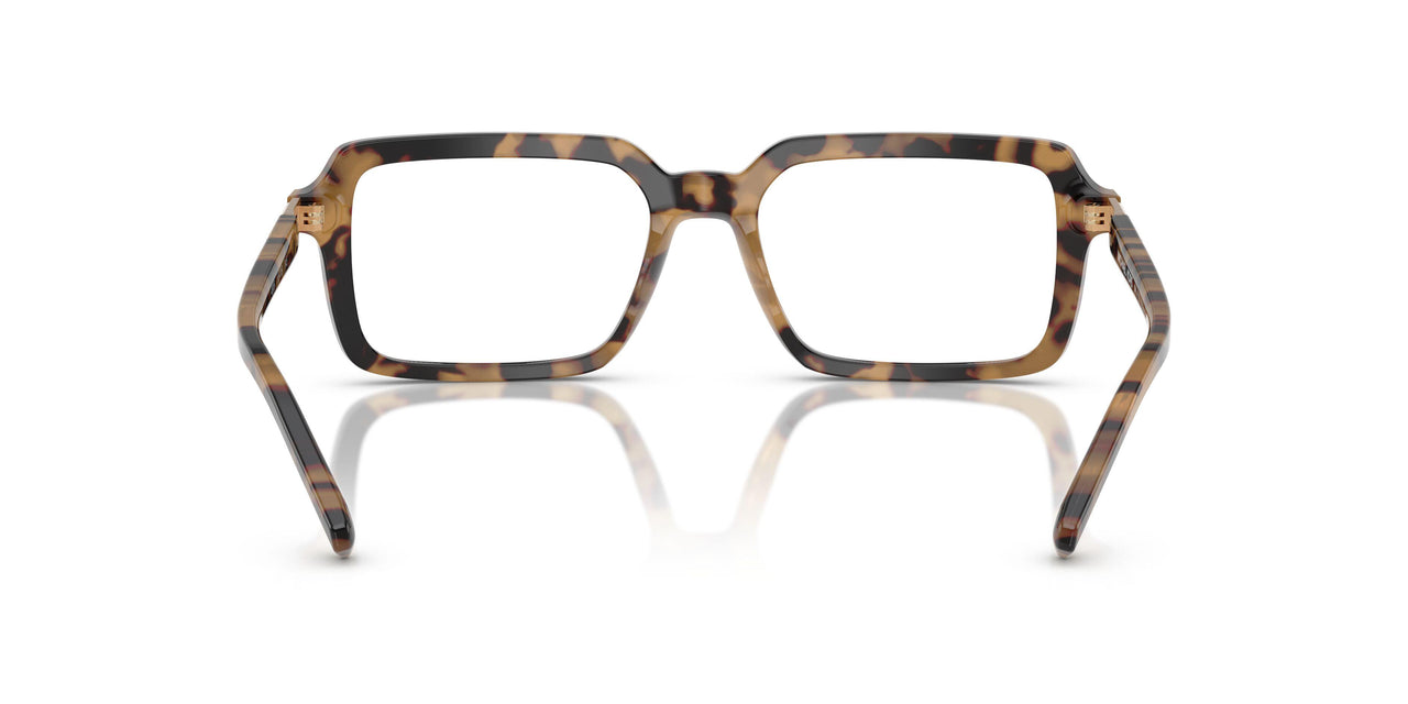 4006 - Tortoise