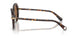 100273 - Tortoise - Dark Brown