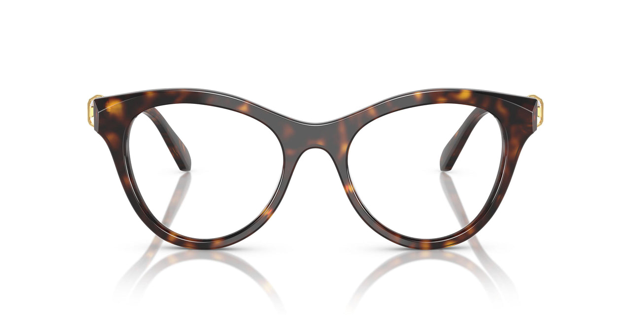 1002 - Brown