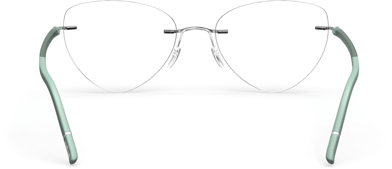 7110 - silver