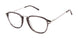 Perry Ellis 485 Eyeglasses