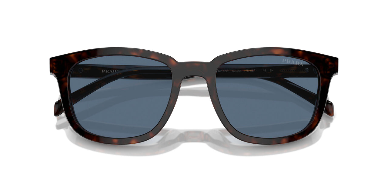 17N06A - Tortoise - Dark Blue