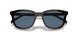 17N06A - Tortoise - Dark Blue