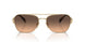 ZVN50C - Gold - Brown Gradient Grey