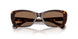 500313 - Tortoise - Brown