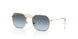 223/V1 - Gold - Blue Gradient Grey