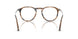 1236 - Brown