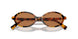 19P2Z1 - Honey Yellow Tortoise - Brown
