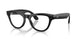 601/1M - Black - Clear/graphite Green