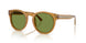 52754E - Tortoise - Solid Green